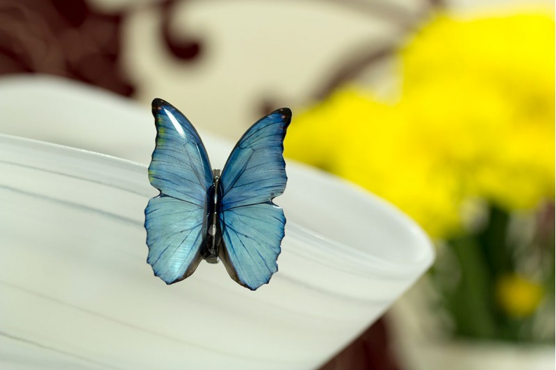 Blue morpho small brooch 