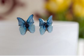 Blue morpho stud earrings 
