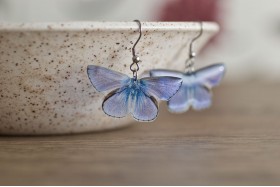 Common Blue butterfly earrings