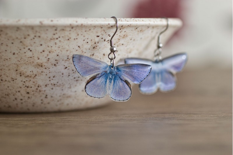 Common Blue butterfly earrings