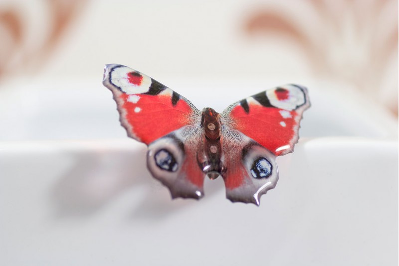 Peacock butterfly brooch